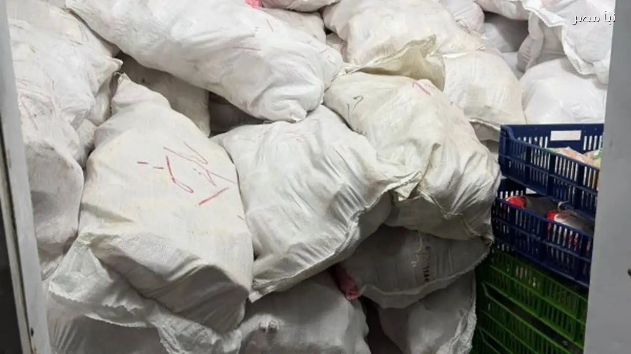 ضبط خمس أطنان من الدواجن المجمدة المجهولة المصدر في محافظة الشرقية