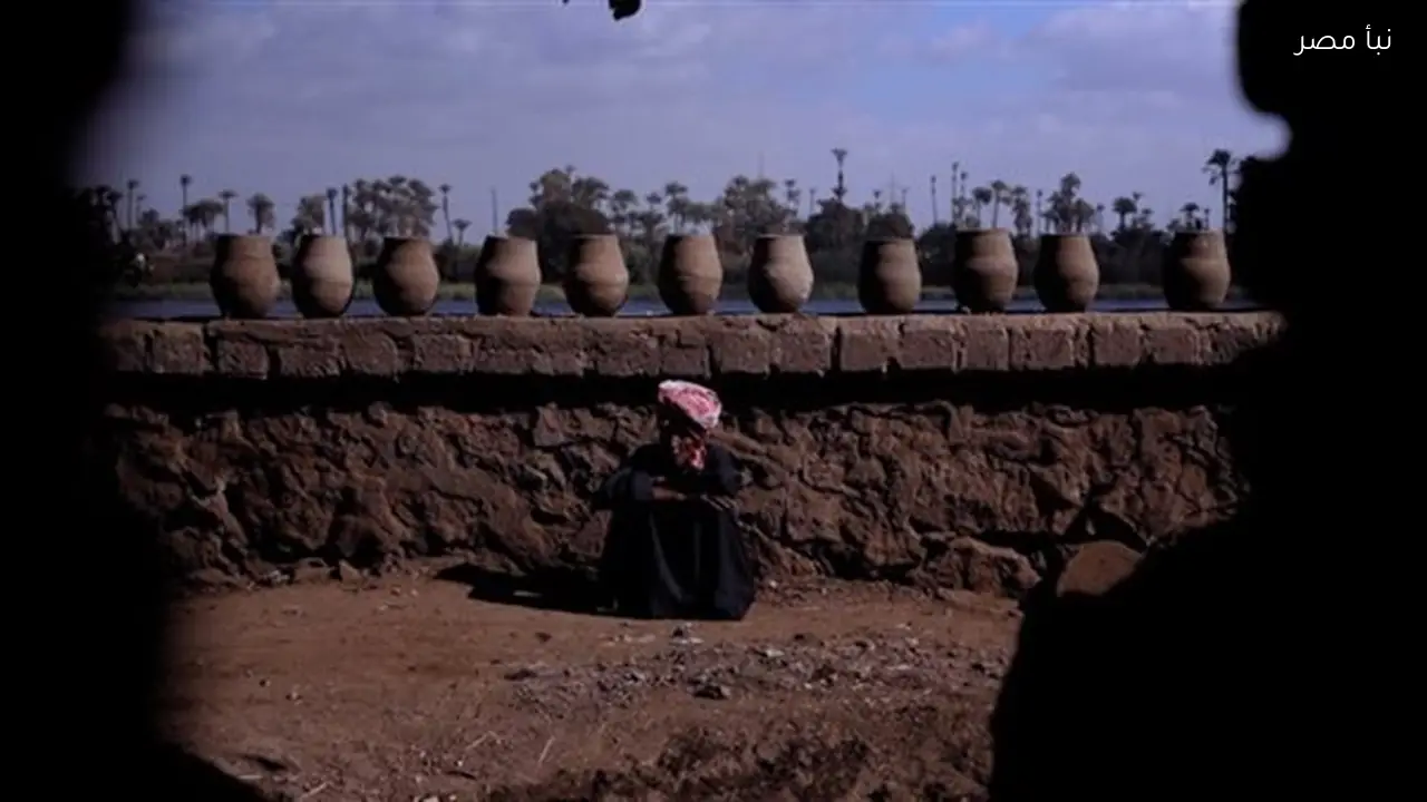 فيلم نبت الأرض لمحمد حامد يفوز بجائزة في مهرجان بلوريارت بإيطاليا