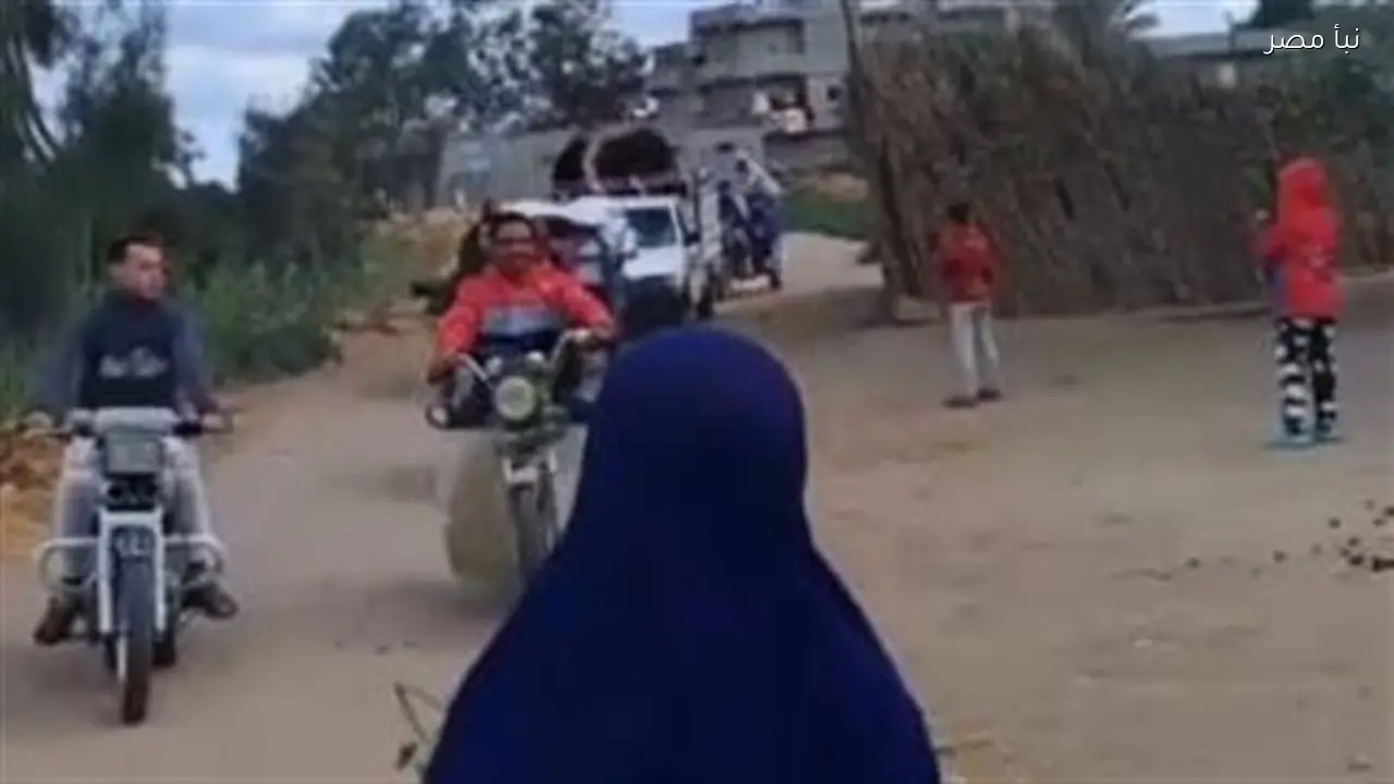 قرية في البحيرة تحتفل بعودة جاموسة بعد غياب دام 90 يوما بسبب السرقة