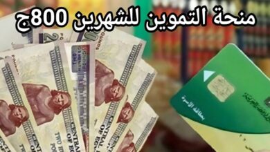 كيف تحصل علي منحة التموين في مصر عبر الخط الساخن وتحذير من الشائعات