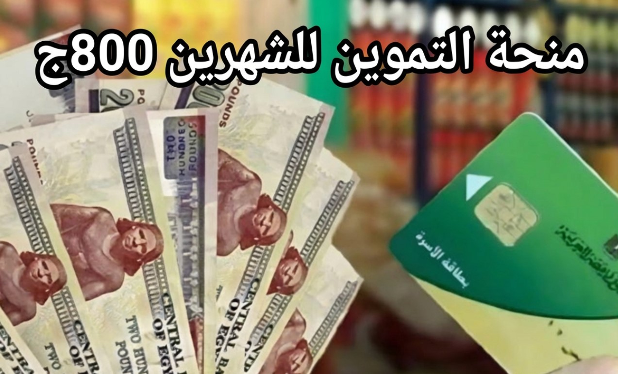 كيف تحصل علي منحة التموين في مصر عبر الخط الساخن وتحذير من الشائعات