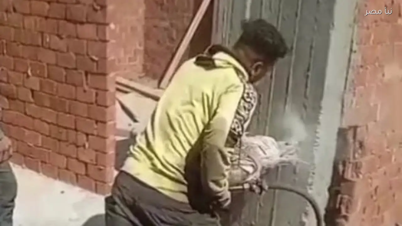 محافظ القليوبية يؤكد إزالة العقارات المخالفة بحي شرق شبرا الخيمة في الموجة 28