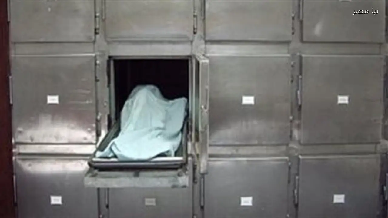 مصرع شخص وإصابة اثنين في حادث تصادم مروع بمحافظة الدقهلية