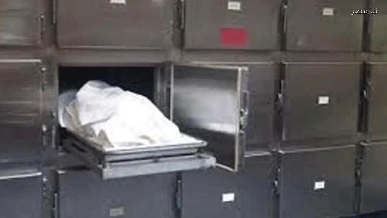 مصرع طالب بعد سقوطه من الطابق الرابع في مدينة ناصر بأسيوط