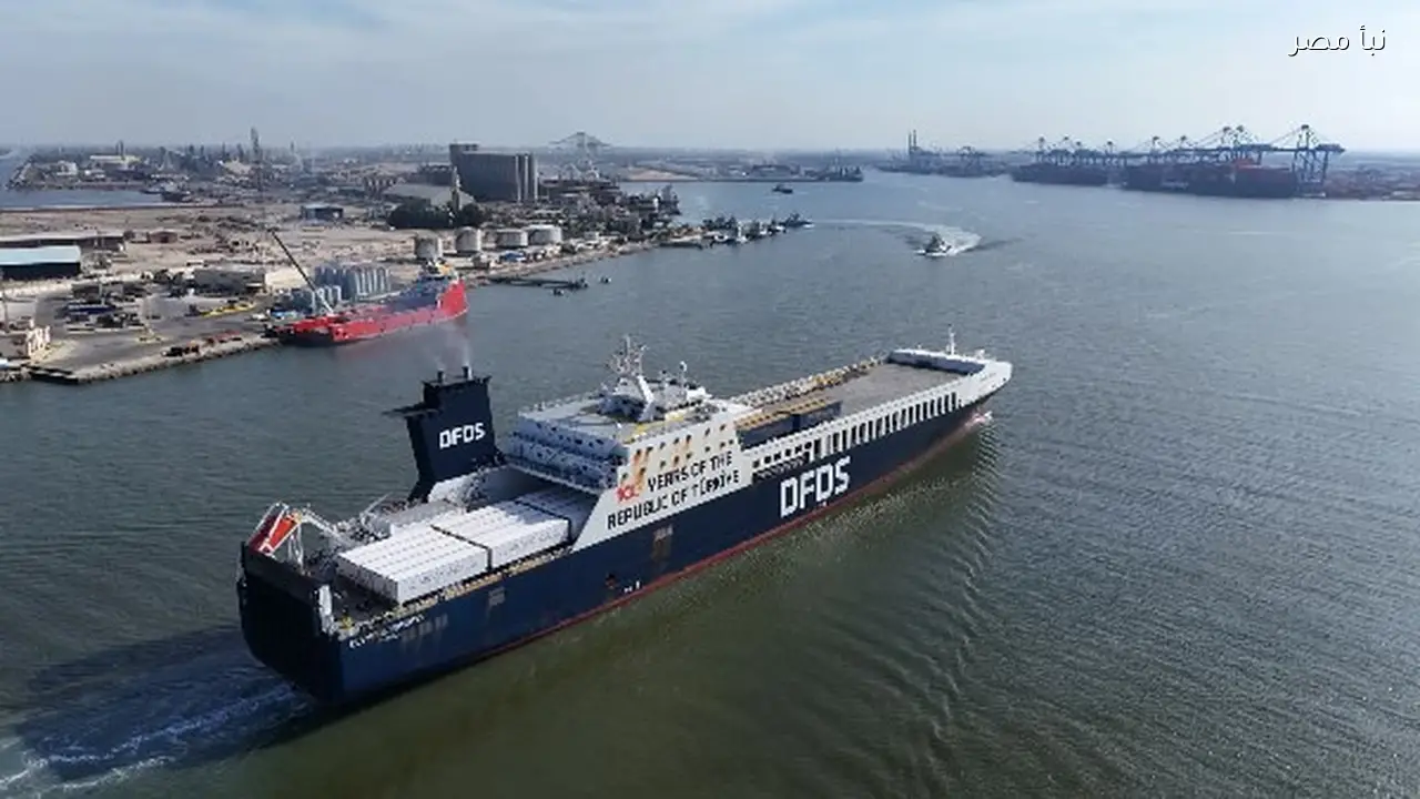 ميناء دمياط يستقبل عشر سفن حاويات وبضائع عامة في يوم واحد