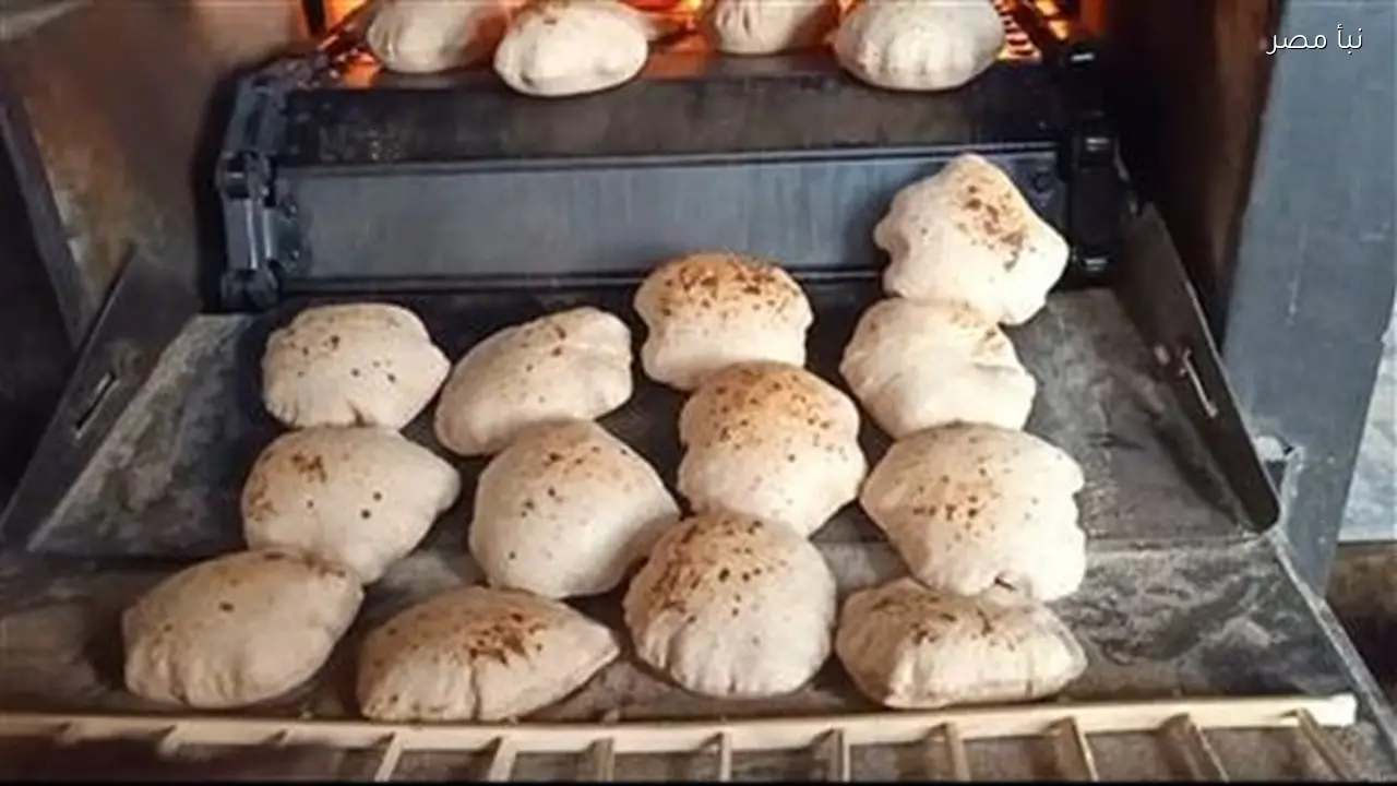 وكيل تموين الشرقية يقوم بجولة ميدانية على المخابز لتحسين جودة الخدمة المقدمة للمواطنين